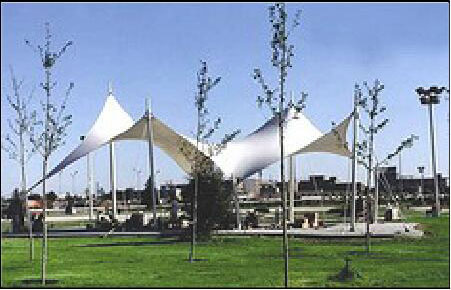 �V�����^����Ĥ