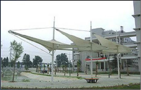 С�^���^����Ĥ